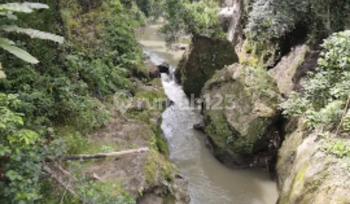 Tanah Special Kaba Kaba Tabanan Bali 46 Are Rp 400/jt/are