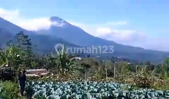 View Yg Sempuran Kk .lokasi Mumduk Singaraja Luas 7 Htr Rp 75 Jt/are