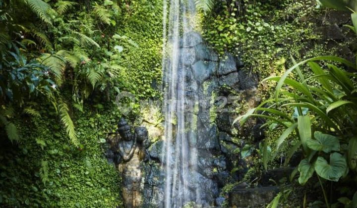 Ubuf Luxury Villa Buc. Land 86.9 Ares Rp 45 M