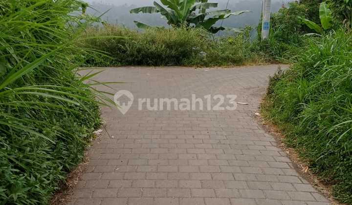 47 Are Di Pelaga Sona Kuning View Gunung Dan Sawah Rp 60 Jt/are 47 Are Di Pelaga Sona Kuning View Gunung Dan Sawah Rp 60 Jt/are
