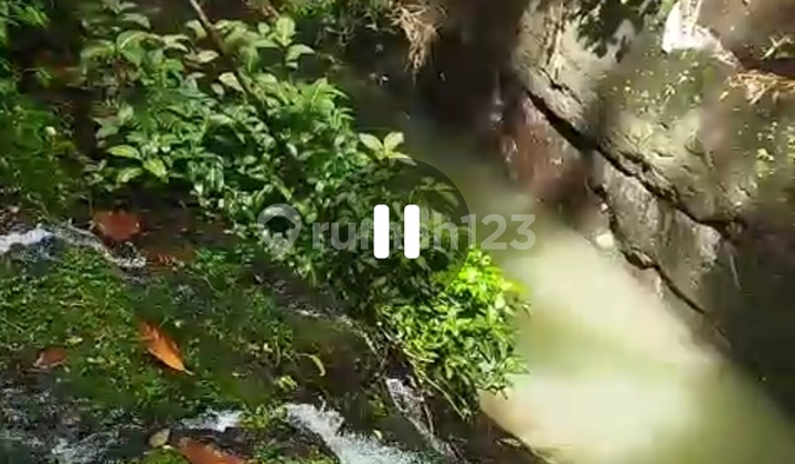 For Sale: Mountain Water Source Land in Tabanan, Area 3 Hectares, IDR 75 Million / are