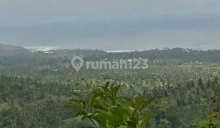 Kebun Kduren .manggis.kopi.kelapa Isi Air Terjun.cocok Buat Villa Luas 1,6hektr Rp 15 Juta/are Kebun Kduren .manggis.kopi.kelapa Isi Air Terjun.cocok Buat Villa Luas 1,6hektr Rp 15 Juta/are