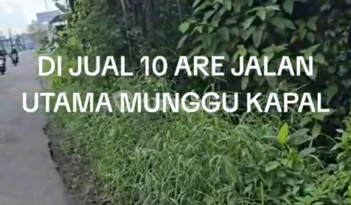 Jual Jalan Utama Munggu Bantas 10.are Rp 850 Jt/are