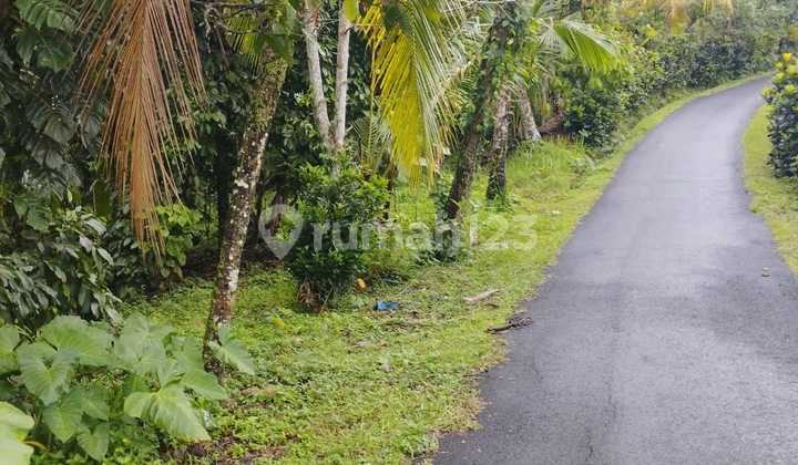 Buc Tanah Cocok Buat Resort Ass Los Sungai.di Tabanan Ass
