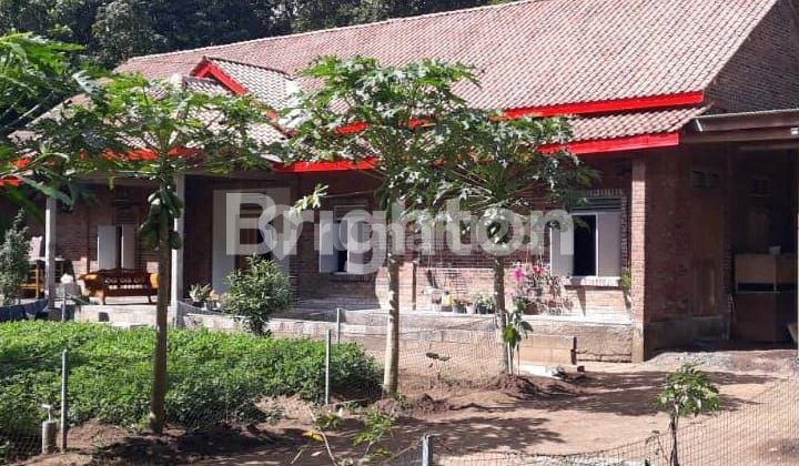 DIJUAL CEPAT, RUMAH DENGAN HALAMAN LUAS DI KULONPROGO YOGYAKARTA 1