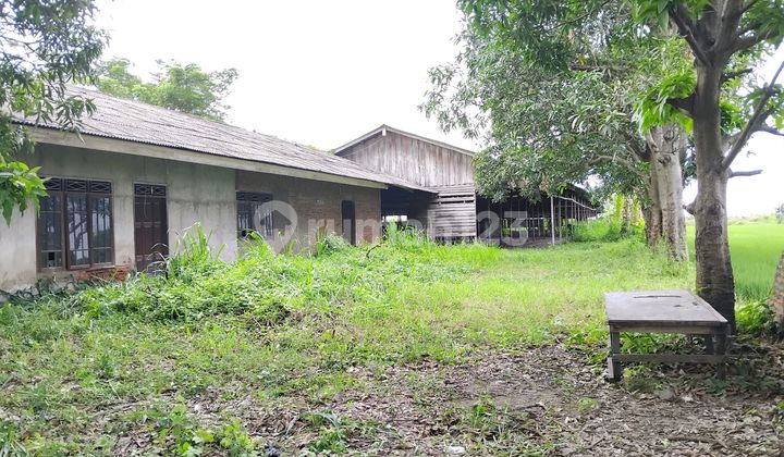 Dijual Tanah Dekat Tol