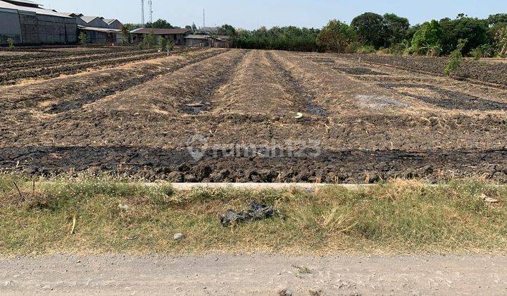 Tanah Siap bangun di Raya Domas cocok untuk Segala Bangunan 1