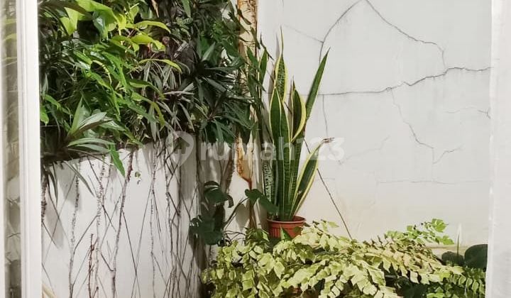 Rumah Bagus Semi Furnished di Pinehill Nature BSD Kencana Loka 2