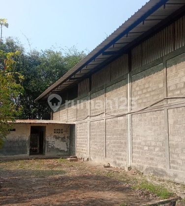 Cheap, Good Warehouse for Rent with Big Truck Access in Tugu Semarang 2