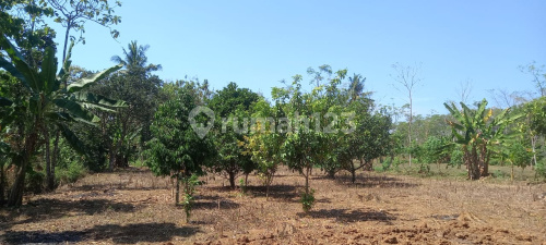 Tanah murah siap bangun dekat uptown mall bsb mijen semarang 1
