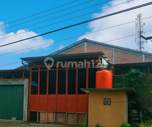 Affordable, Good, Spacious, Ready-to-Use Warehouse in Kaliwungu.