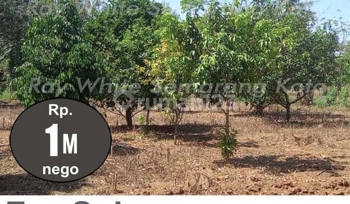 Tanah murah siap bangun dekat uptown mall bsb mijen semarang 2