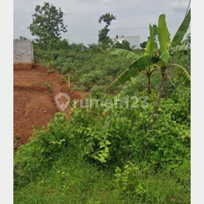 Tanah jual di tembalang dekat undip murah cocok untuk kos 1