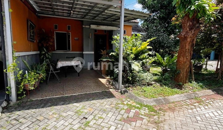 Cheap Hook House Below Market Price, Strategically Located in Duku Zambrud