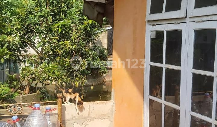 Rumah Second 1,5lt Dkt Stasiun Depok Lama Dicagar Alam Pancoran Mas Depok Rumah Second 1,5lt Dkt Stasiun Depok Lama Dicagar Alam Pancoran Mas Depok