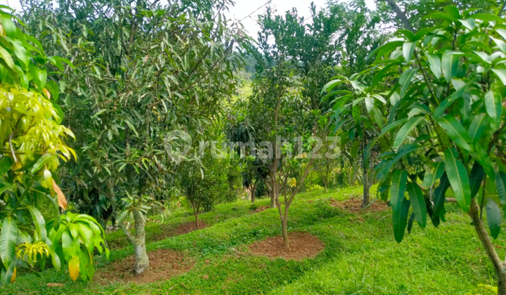 Murah!! Tanah Luas di Cililin sudah SHM, Bandung