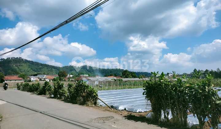 Murah!! Tanah Luas Sekitar Lembang Cocok untuk Villa, Bandung Murah!! Tanah Luas Sekitar Lembang Cocok untuk Villa, Bandung