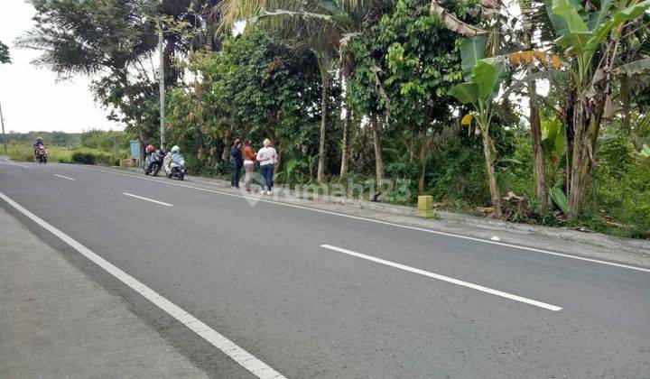 Tanah Investasi Jogja Dekat Pasar Ngijon  1