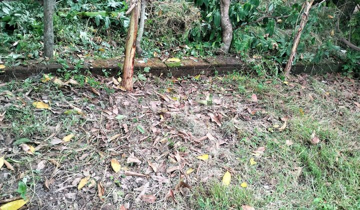 For Sale: Owned Vacant Land with Prime Location, Zero Road Frontage in the District. For Sale: Owned Vacant Land with Prime Location, Zero Road Frontage in the District.