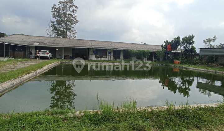 Tanah Dengan Kolam Cocok Utk Villa Di Lembang Tanah Dengan Kolam Cocok Utk Villa Di Lembang