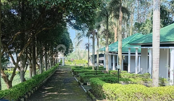 For Sale Villa House With Very Large Land In Cikole Lembang Area