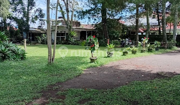 Quick Sale Old House Large Yard Land Only Counted In Lembang City