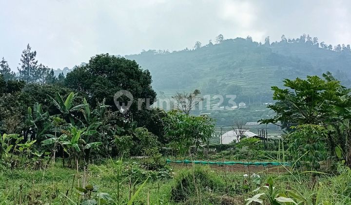 Dijual Tanah Cocok Untuk Resto Di Area Wisata Lembang Dijual Tanah Cocok Untuk Resto Di Area Wisata Lembang