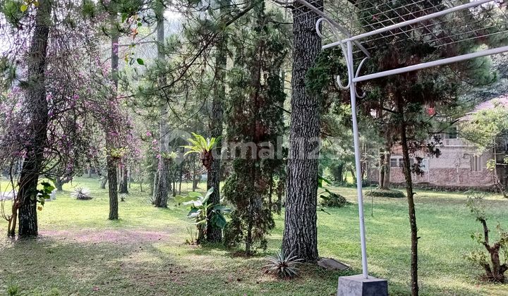 Dijual Tanah Potensial Untuk Resto Di Mainroad Lembang Bandung 1