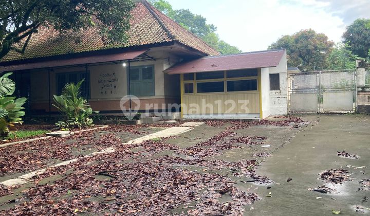 Rare Find!! House for Rent, Ideal for Cafe, Restaurant in Dago Area Rare Find!! House for Rent, Ideal for Cafe, Restaurant in Dago Area
