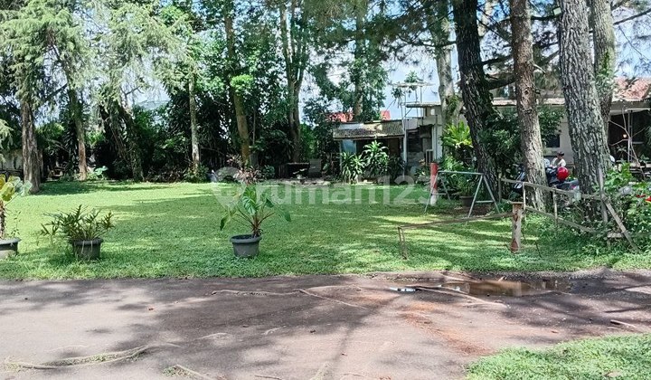 Quick Sale Old House Large Yard Land Only Counted In Lembang City