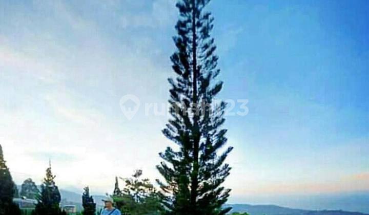 Jual Segera Villa Bagus,taman Luas,view Cantik Di Lembang Jual Segera Villa Bagus,taman Luas,view Cantik Di Lembang