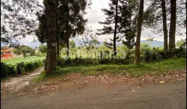 Tanah Bagus Untuk Villa Di Area Kota Lembang Bandung Tanah Bagus Untuk Villa Di Area Kota Lembang Bandung