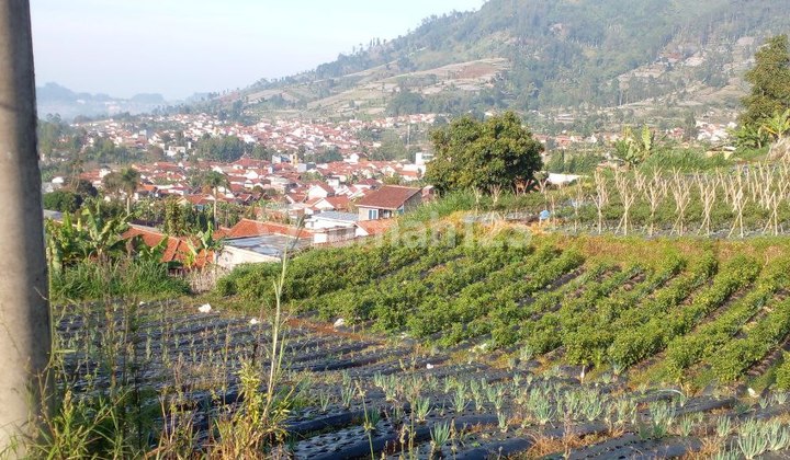 For Sale Tanah Dengan Top View Untuk Villa Di Lembang Bandung