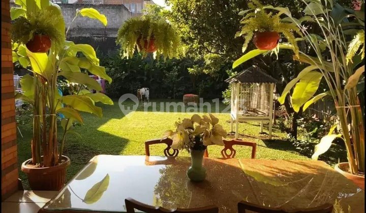 Rumah Cantik dengan Halaman Luas di Area Sarijadi Gerlong Pasteur Rumah Cantik dengan Halaman Luas di Area Sarijadi Gerlong Pasteur