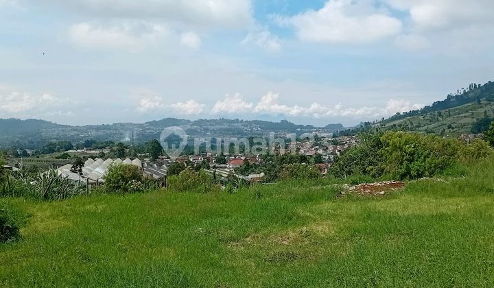Murah! Jual Cepat Tanah Siap Bangun View Cantik Menawan di Lembang