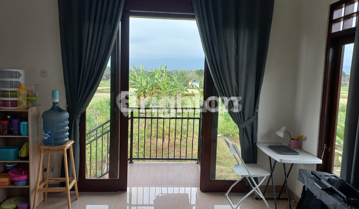RUMAH DENGAN VIEW BUKIT DI JEMBRANA (NEGARA) BALI 1