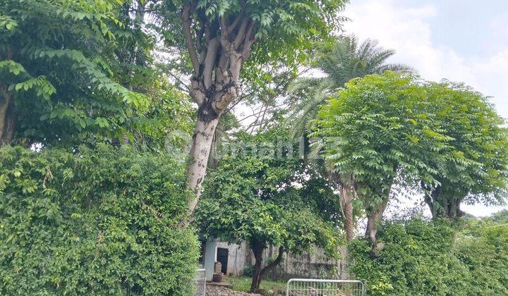 Di Jual Tanah Dekat Tol Jelupang