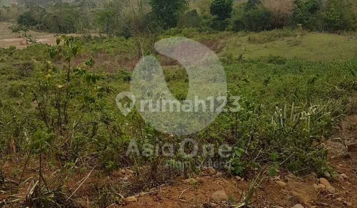 Land for Sale Near Transyogi Toll Gate in Gunung Batu, Bogor