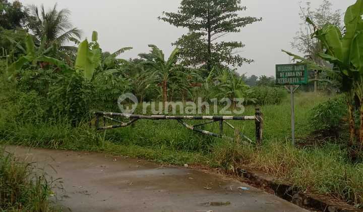 Di Jual Tanah Cocok Untuk Cluster
