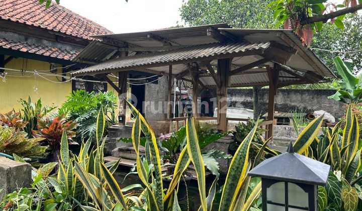 Di Sewakan Tanah di Parungpung Gunung Sindur Bogor Di Sewakan Tanah di Parungpung Gunung Sindur Bogor