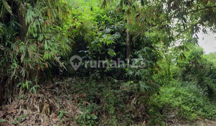 Tanah Strategis Bangun Perumahan, Perkebunan di Sukaluyu Cianjur