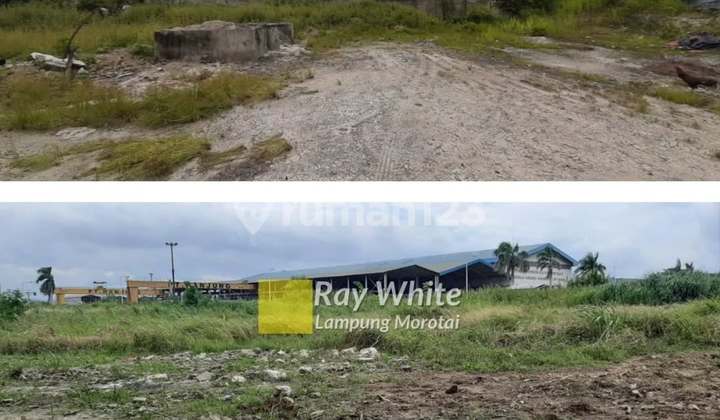Dijual tanah lokasi panjang soekarno hatta bandar lampung Dijual tanah lokasi panjang soekarno hatta bandar lampung