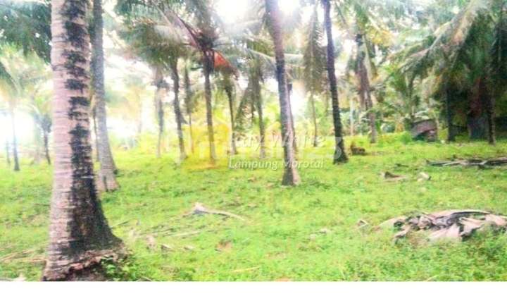 Dijual Tanah Pantai Kalianda Lampung