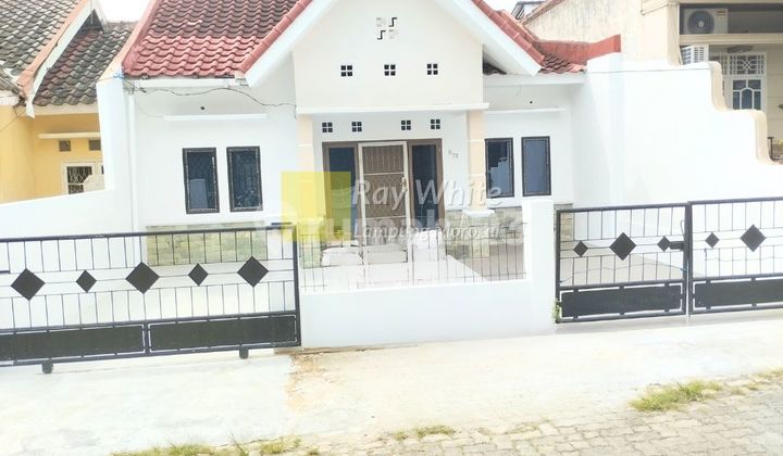 Dikontrakan rumah kedamaian bandar lampung 43 juta per tahun nego Dikontrakan rumah kedamaian bandar lampung 43 juta per tahun nego