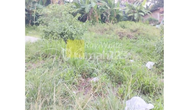 Jual tanah jatimiuyo karang anyar Lampung Selatan Luas 2355 m2 jalan utama