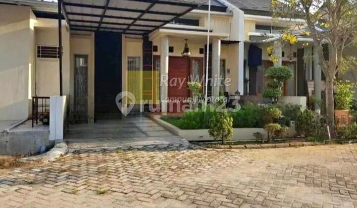 38 juta pewr tahun nego Rumah disewakan di sukarame bandar lampung area komplek cluster 38 juta pewr tahun nego Rumah disewakan di sukarame bandar lampung area komplek cluster
