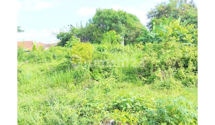 42 million per year Land for rent, Korpri Sukarame, Bandar Lampung