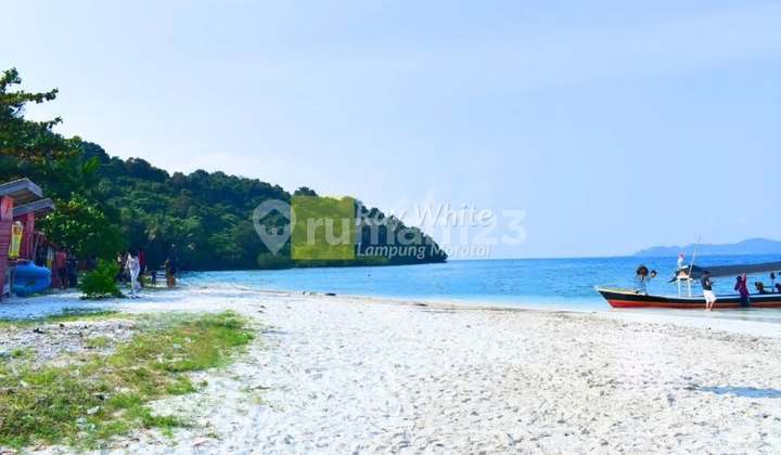 Di Jual Tanah Pantai Pulau Tangkil Bandar Lampung Di Jual Tanah Pantai Pulau Tangkil Bandar Lampung