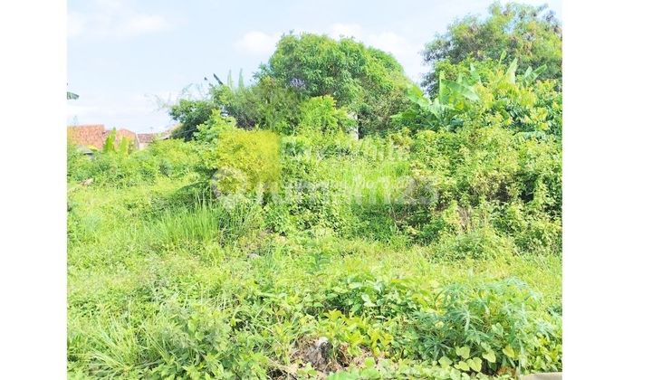 42 million per year Land for rent, Korpri Sukarame, Bandar Lampung