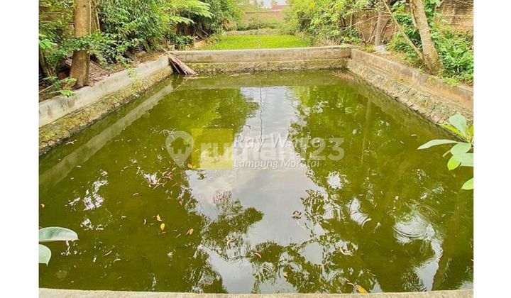 For Sale and For Rent House located in Candimas, South Lampung 2